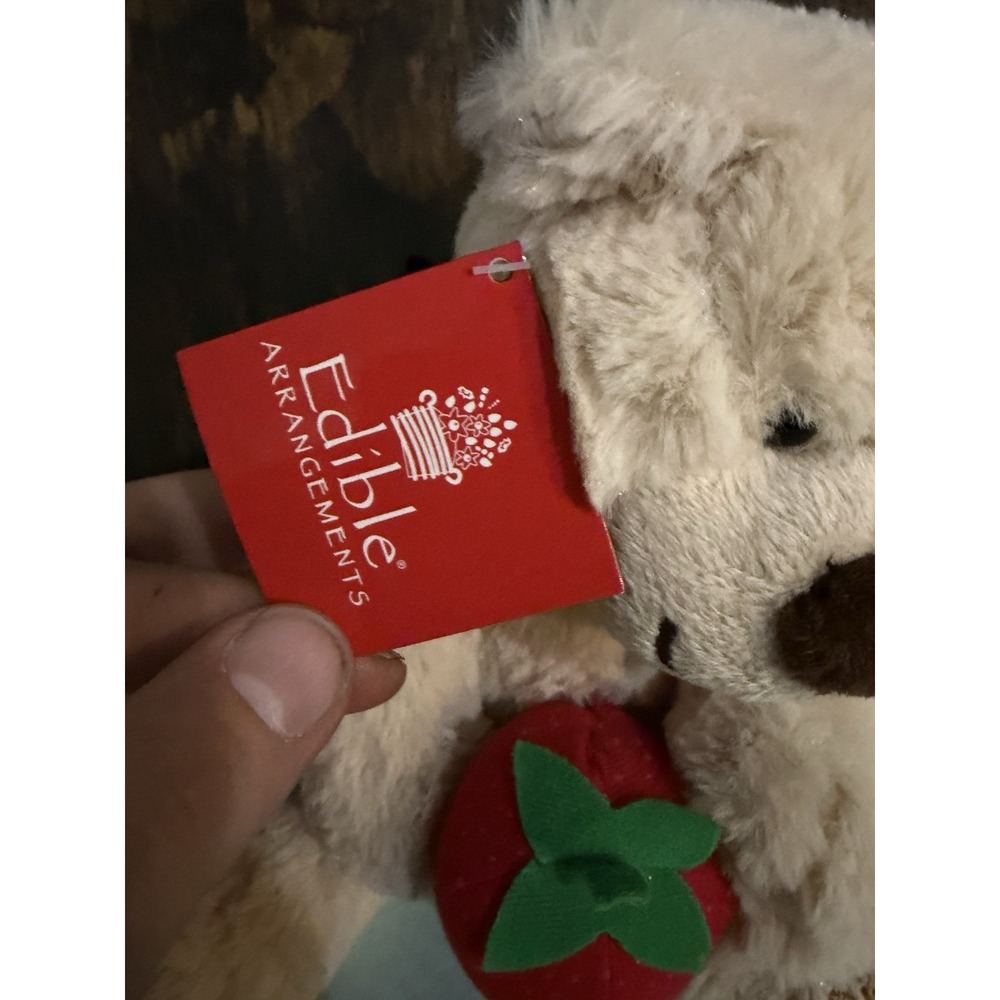 NEW Edible Arrangements Plush Berry Loved Bear Stuffed Animal Strawberry